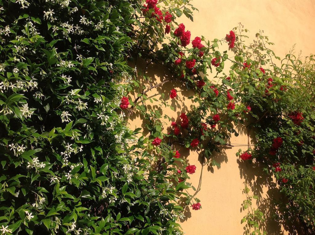 Albergo Giardinetto Bellagio Bagian luar foto